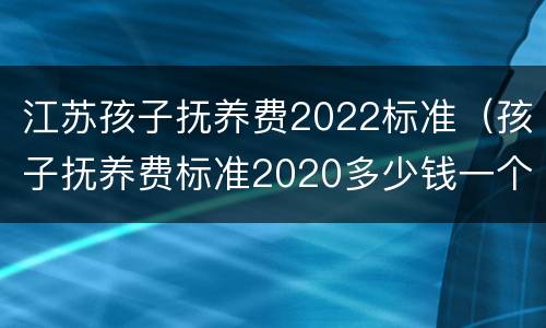 江苏孩子抚养费2022标准（孩子抚养费标准2020多少钱一个月江苏）