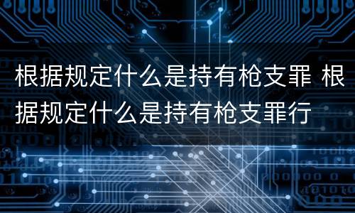 根据规定什么是持有枪支罪 根据规定什么是持有枪支罪行