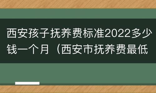 西安孩子抚养费标准2022多少钱一个月（西安市抚养费最低标准是多少）