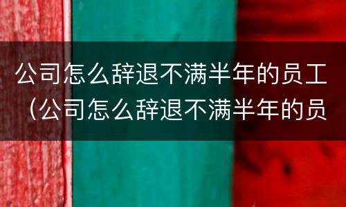 公司怎么辞退不满半年的员工（公司怎么辞退不满半年的员工赔偿）
