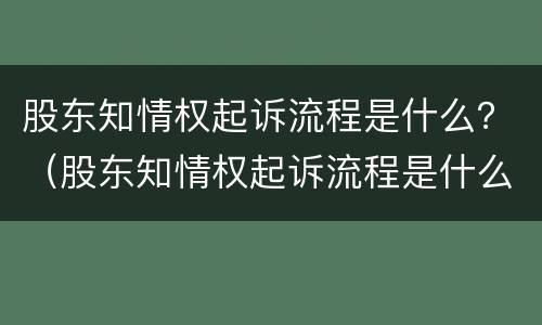 股东知情权起诉流程是什么？（股东知情权起诉流程是什么）