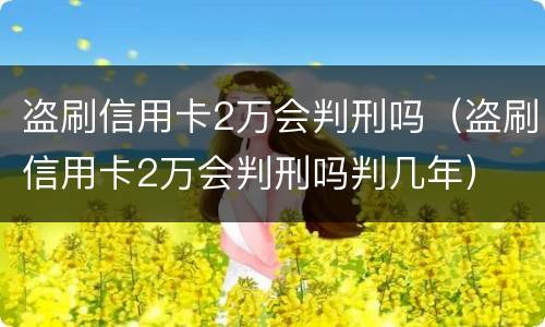 盗刷信用卡2万会判刑吗（盗刷信用卡2万会判刑吗判几年）