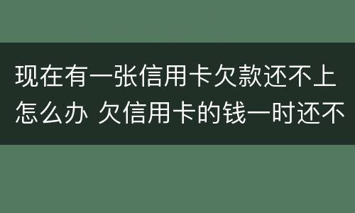 现在有一张信用卡欠款还不上怎么办 欠信用卡的钱一时还不上怎么办