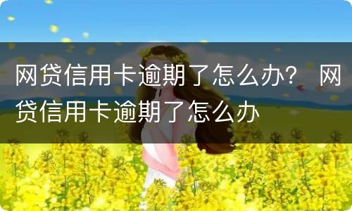 网贷信用卡逾期了怎么办？ 网贷信用卡逾期了怎么办
