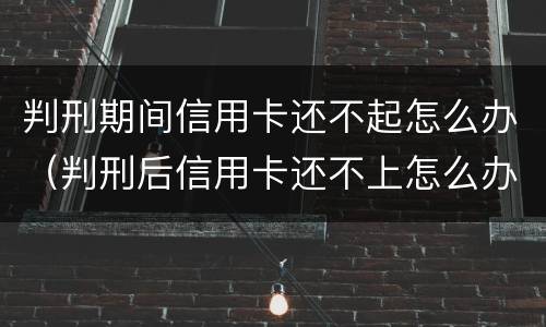 判刑期间信用卡还不起怎么办（判刑后信用卡还不上怎么办）