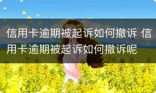 信用卡逾期被起诉如何撤诉 信用卡逾期被起诉如何撤诉呢
