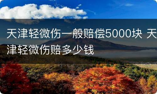 天津轻微伤一般赔偿5000块 天津轻微伤赔多少钱