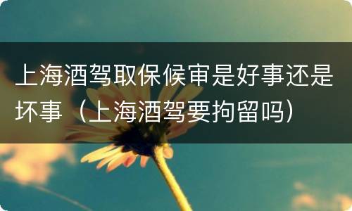上海酒驾取保候审是好事还是坏事（上海酒驾要拘留吗）
