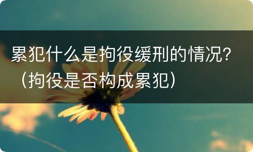 累犯什么是拘役缓刑的情况？（拘役是否构成累犯）