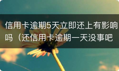 信用卡逾期5天立即还上有影响吗（还信用卡逾期一天没事吧）