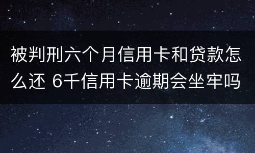 被判刑六个月信用卡和贷款怎么还 6千信用卡逾期会坐牢吗