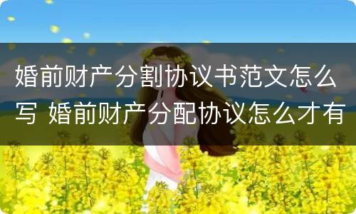婚前财产分割协议书范文怎么写 婚前财产分配协议怎么才有法律效应