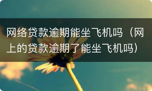 网络贷款逾期能坐飞机吗（网上的贷款逾期了能坐飞机吗）
