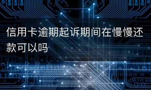 信用卡逾期起诉期间在慢慢还款可以吗