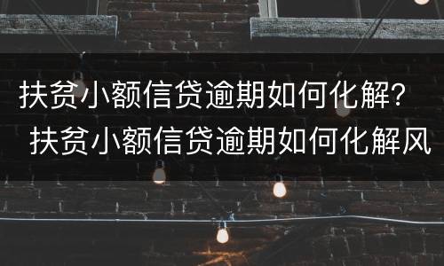 扶贫小额信贷逾期如何化解？ 扶贫小额信贷逾期如何化解风险