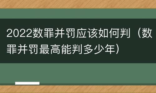 2022数罪并罚应该如何判（数罪并罚最高能判多少年）