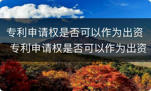 专利申请权是否可以作为出资 专利申请权是否可以作为出资凭证