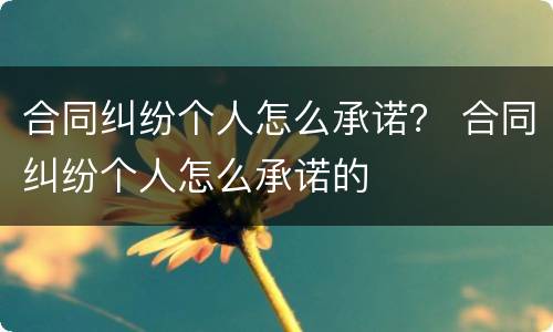 合同纠纷个人怎么承诺？ 合同纠纷个人怎么承诺的