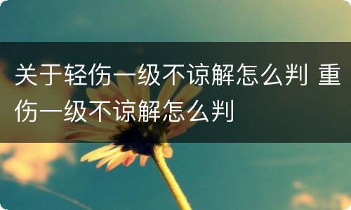 关于轻伤一级不谅解怎么判 重伤一级不谅解怎么判