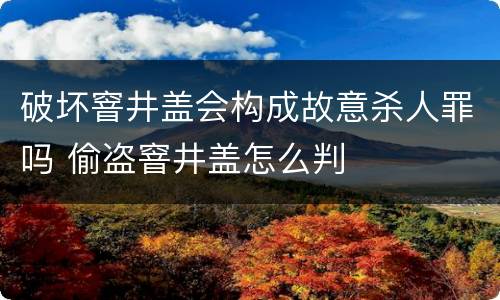 破坏窨井盖会构成故意杀人罪吗 偷盗窨井盖怎么判