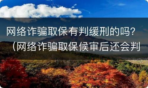 网络诈骗取保有判缓刑的吗？（网络诈骗取保候审后还会判刑吗）