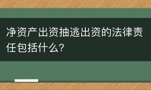 净资产出资抽逃出资的法律责任包括什么？