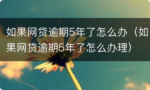 如果网贷逾期5年了怎么办（如果网贷逾期5年了怎么办理）