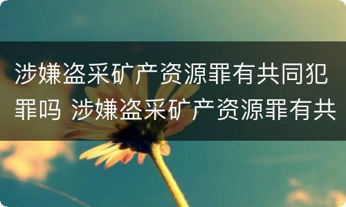 涉嫌盗采矿产资源罪有共同犯罪吗 涉嫌盗采矿产资源罪有共同犯罪吗