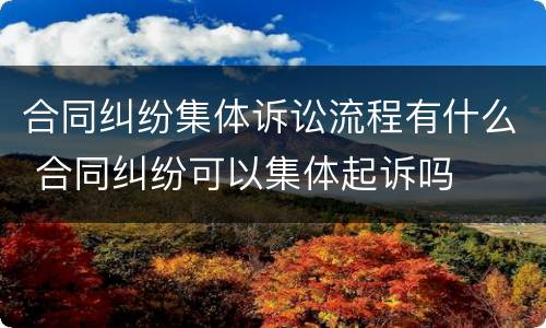 合同纠纷集体诉讼流程有什么 合同纠纷可以集体起诉吗