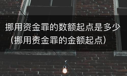挪用资金罪的数额起点是多少（挪用资金罪的金额起点）