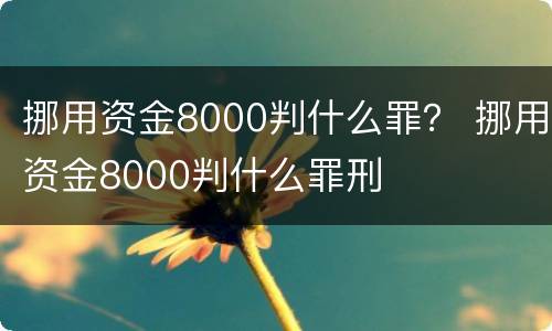 挪用资金8000判什么罪？ 挪用资金8000判什么罪刑