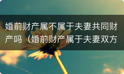 婚前财产属不属于夫妻共同财产吗（婚前财产属于夫妻双方吗）