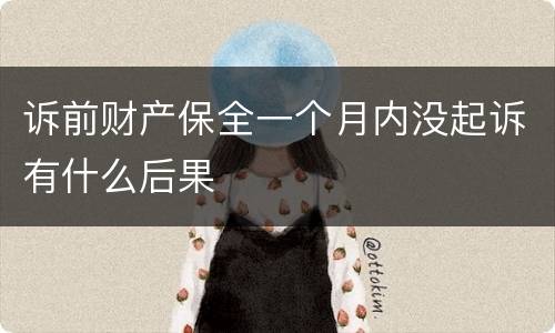 诉前财产保全一个月内没起诉有什么后果