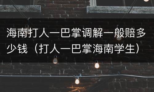 海南打人一巴掌调解一般赔多少钱（打人一巴掌海南学生）
