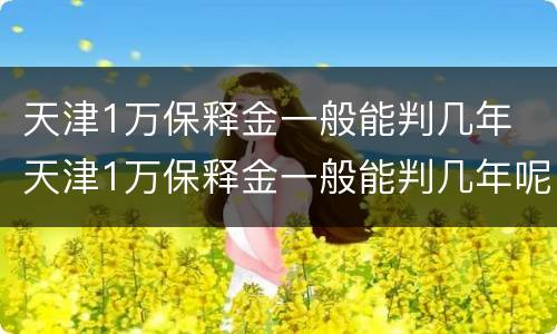 天津1万保释金一般能判几年 天津1万保释金一般能判几年呢