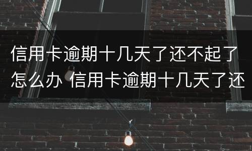 信用卡逾期十几天了还不起了怎么办 信用卡逾期十几天了还不起了怎么办呀