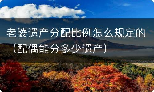 老婆遗产分配比例怎么规定的（配偶能分多少遗产）