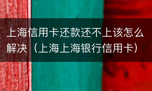 上海信用卡还款还不上该怎么解决（上海上海银行信用卡）