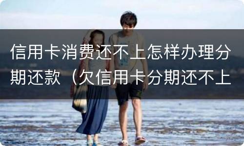 信用卡消费还不上怎样办理分期还款（欠信用卡分期还不上怎么办）