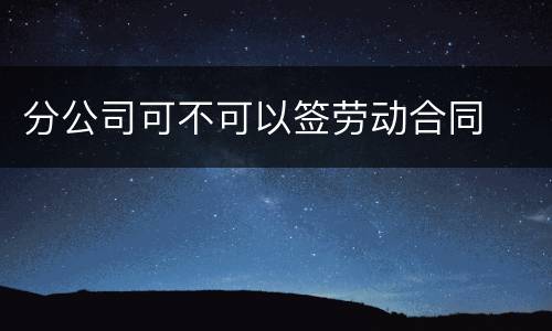 分公司可不可以签劳动合同