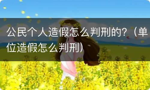 公民个人造假怎么判刑的?（单位造假怎么判刑）