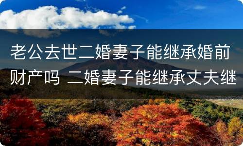 老公去世二婚妻子能继承婚前财产吗 二婚妻子能继承丈夫继续的遗产吗?