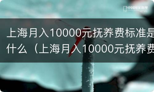 上海月入10000元抚养费标准是什么（上海月入10000元抚养费标准是什么呢）
