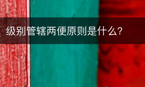 级别管辖两便原则是什么？