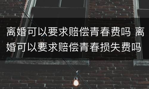 离婚可以要求赔偿青春费吗 离婚可以要求赔偿青春损失费吗