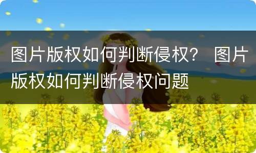 图片版权如何判断侵权？ 图片版权如何判断侵权问题