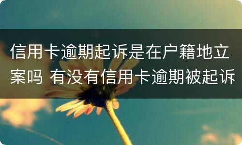 信用卡逾期起诉是在户籍地立案吗 有没有信用卡逾期被起诉的人