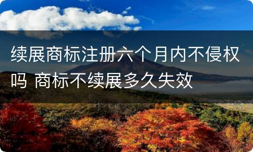 续展商标注册六个月内不侵权吗 商标不续展多久失效