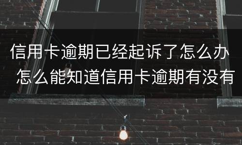 信用卡逾期已经起诉了怎么办 怎么能知道信用卡逾期有没有被起诉