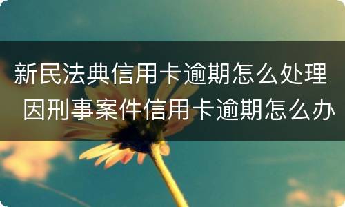 新民法典信用卡逾期怎么处理 因刑事案件信用卡逾期怎么办